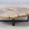 Couchtisch versteinertes Holz 51258