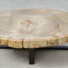 Couchtisch versteinertes Holz 51260