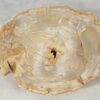 Couchtisch versteinertes Holz 51261