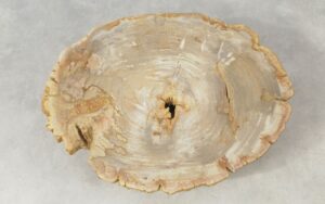 Couchtisch versteinertes Holz 51261