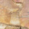 Couchtisch versteinertes Holz 51262