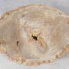 Couchtisch versteinertes Holz 51263