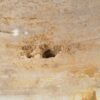 Couchtisch versteinertes Holz 51268