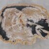 Couchtisch versteinertes Holz 52190