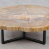 Couchtisch versteinertes Holz 52234