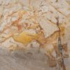 Couchtisch versteinertes Holz 52234