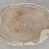 Couchtisch versteinertes Holz 52244