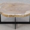 Couchtisch versteinertes Holz 52244