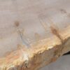 Mesa de centro madera petrificada 52241