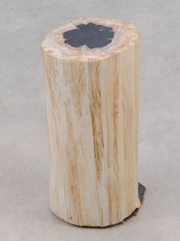 Mesilla madera petrificada 51005