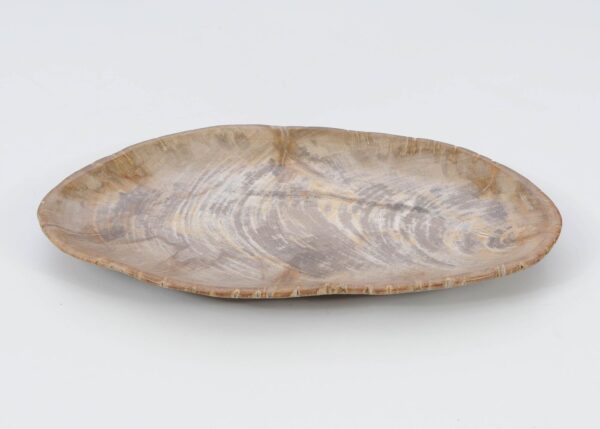 Plate petrified wood 51063