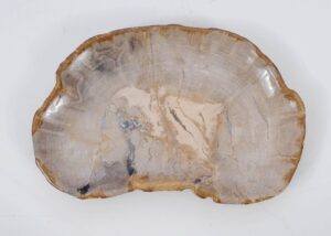 Plate petrified wood 51076