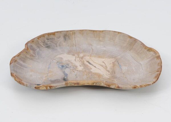 Plate petrified wood 51076