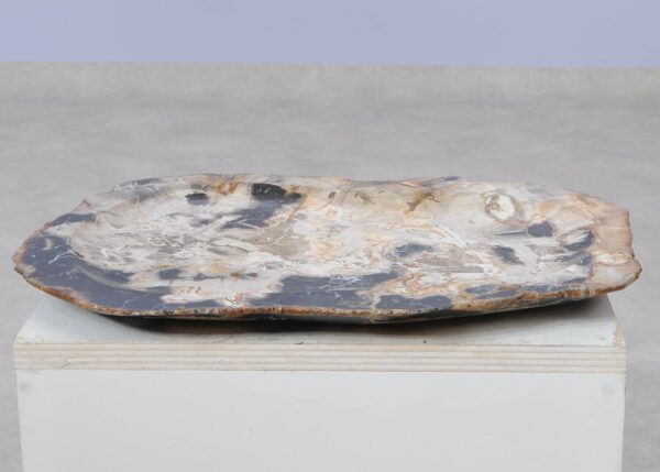 Plate petrified wood 51086