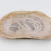 Plate petrified wood 51100