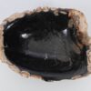 Bowl petrified wood 51302
