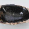 Bowl petrified wood 51302