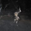 Bowl petrified wood 51302