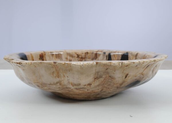 Bowl petrified wood 51305