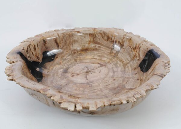 Bowl petrified wood 51305