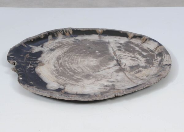 Plate petrified wood 52010