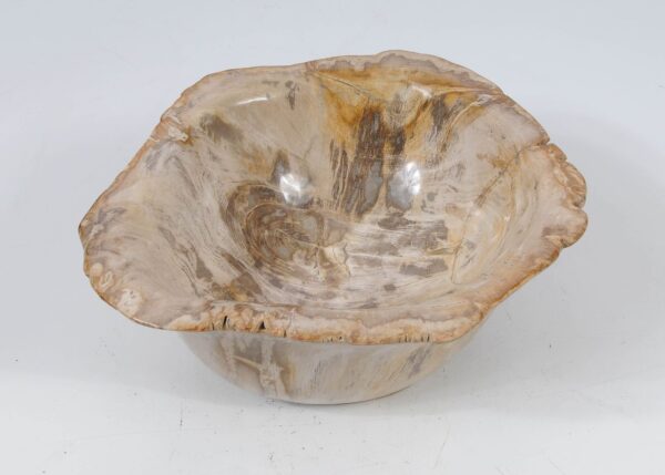 Bowl petrified wood 52360