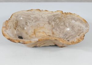 Bowl petrified wood 52361