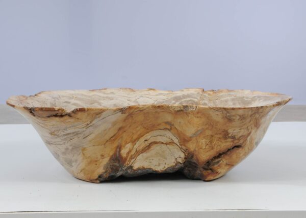 Bowl petrified wood 52361