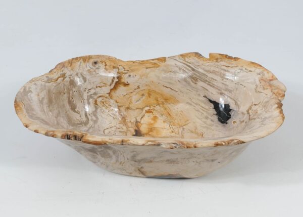 Bowl petrified wood 52361