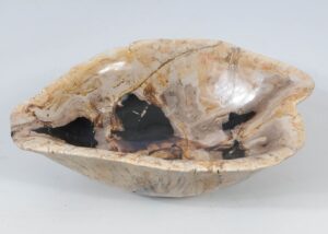 Bowl petrified wood 52365