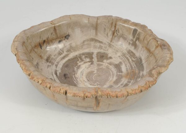 Bowl petrified wood 52368