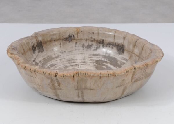 Bowl petrified wood 52368