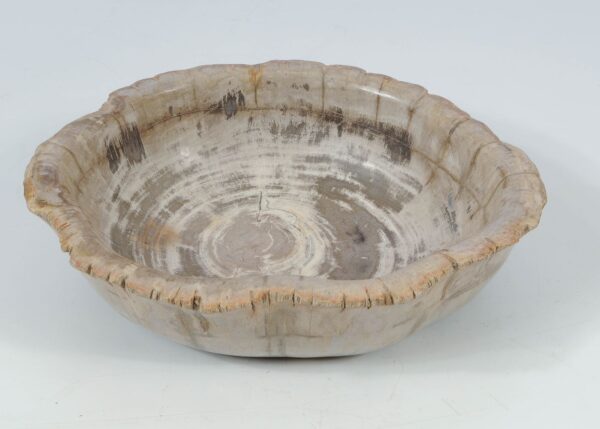 Bowl petrified wood 52368