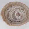 Bowl petrified wood 52369