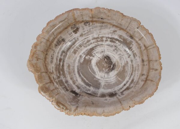 Bowl petrified wood 52369