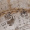 Bowl petrified wood 52369