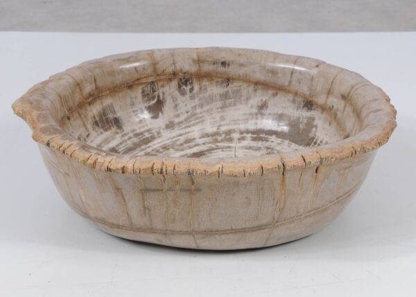 Bowl petrified wood 52369