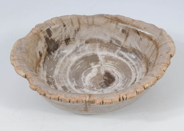 Bowl petrified wood 52370