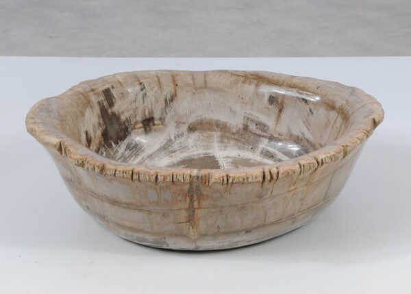 Bowl petrified wood 52370