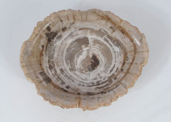 Bowl petrified wood 52370