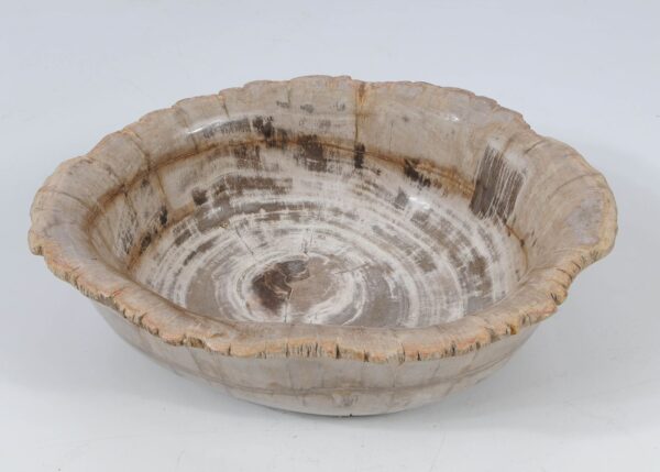 Bowl petrified wood 52370
