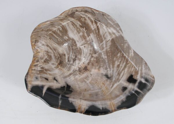 Bowl petrified wood 52373