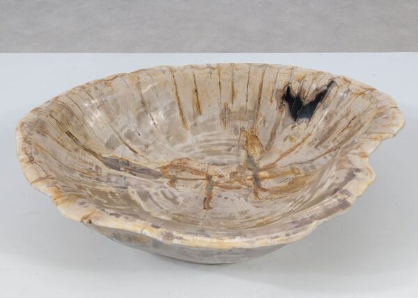 Bowl petrified wood 52375