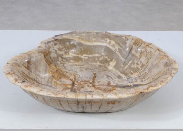 Bowl petrified wood 52375