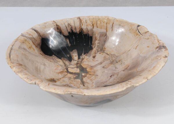 Bowl petrified wood 52378