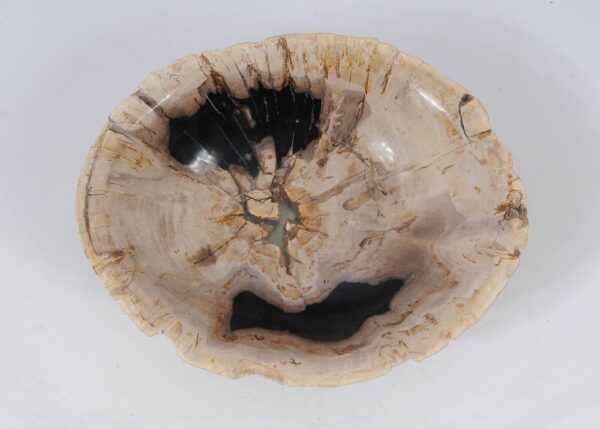 Bowl petrified wood 52378