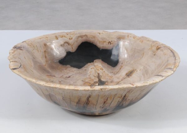 Bowl petrified wood 52378