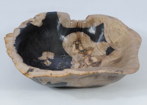Bowl petrified wood 52380