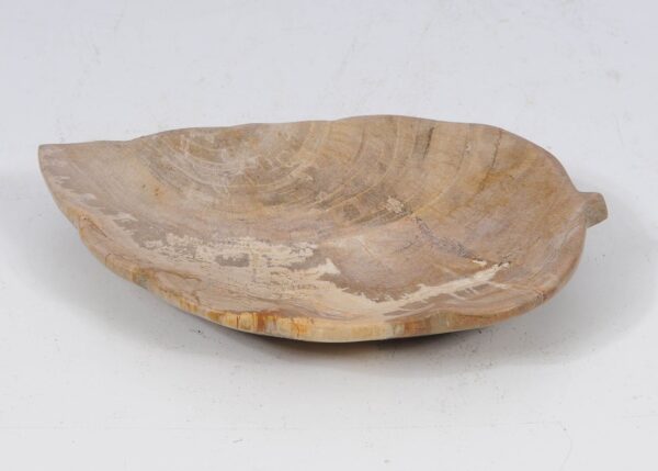 Plate petrified wood 52388