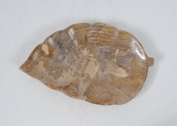 Plate petrified wood 52389